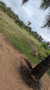 Duazon Community, Liberia - Property Image
