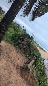 Duazon Community, Liberia - Property Image