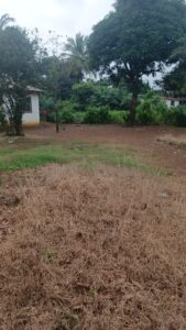 ELWA Junction, AB Tolbert Road  Liberia