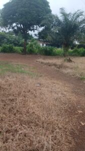 PRIME 2-LOT PROPERTY FOR SALE – JACOB TOWN, REHAB MARKET - Property Image